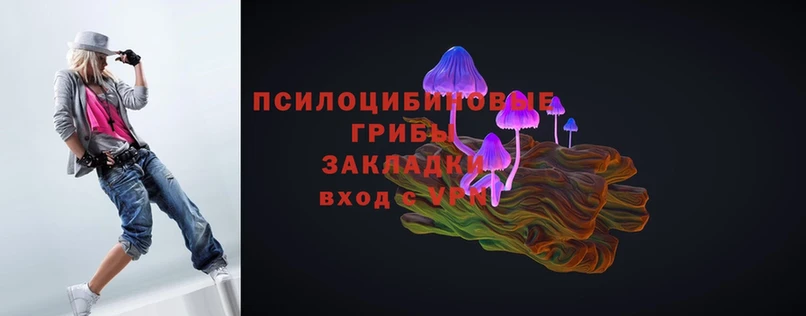 Псилоцибиновые грибы Magic Shrooms  Козловка 